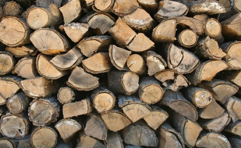 A stack of split firewood