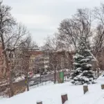 Snow along Ten Broeck Street in Albany