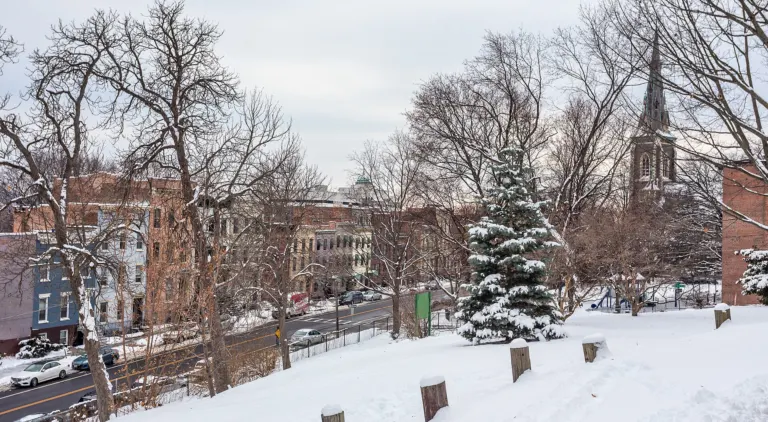 Snow along Ten Broeck Street in Albany